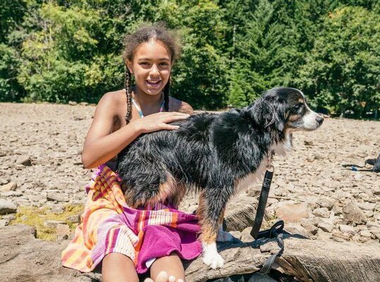 Australian Shepherd puppy playing with children