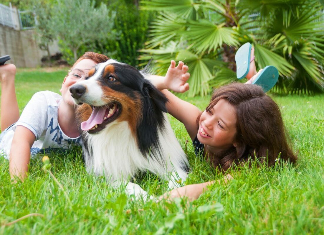 Happy family with their Australian Shepherd puppy