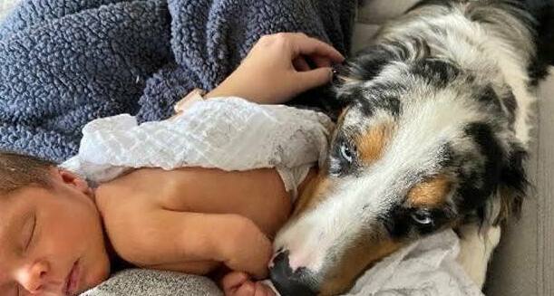 Australian Shepherd puppy happily playing with children in a backyard