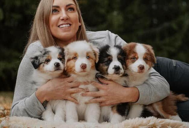 Family welcoming their Australian Shepherd puppy home