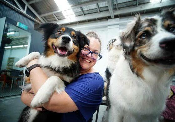 Family completing an Australian Shepherd puppy application