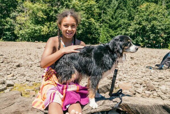 australian shepherd playing with girl