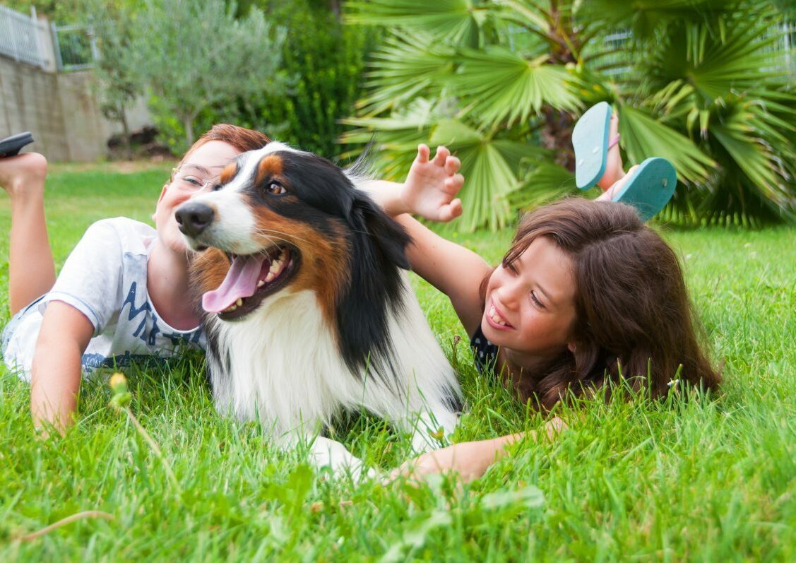 Puppies playing with children.