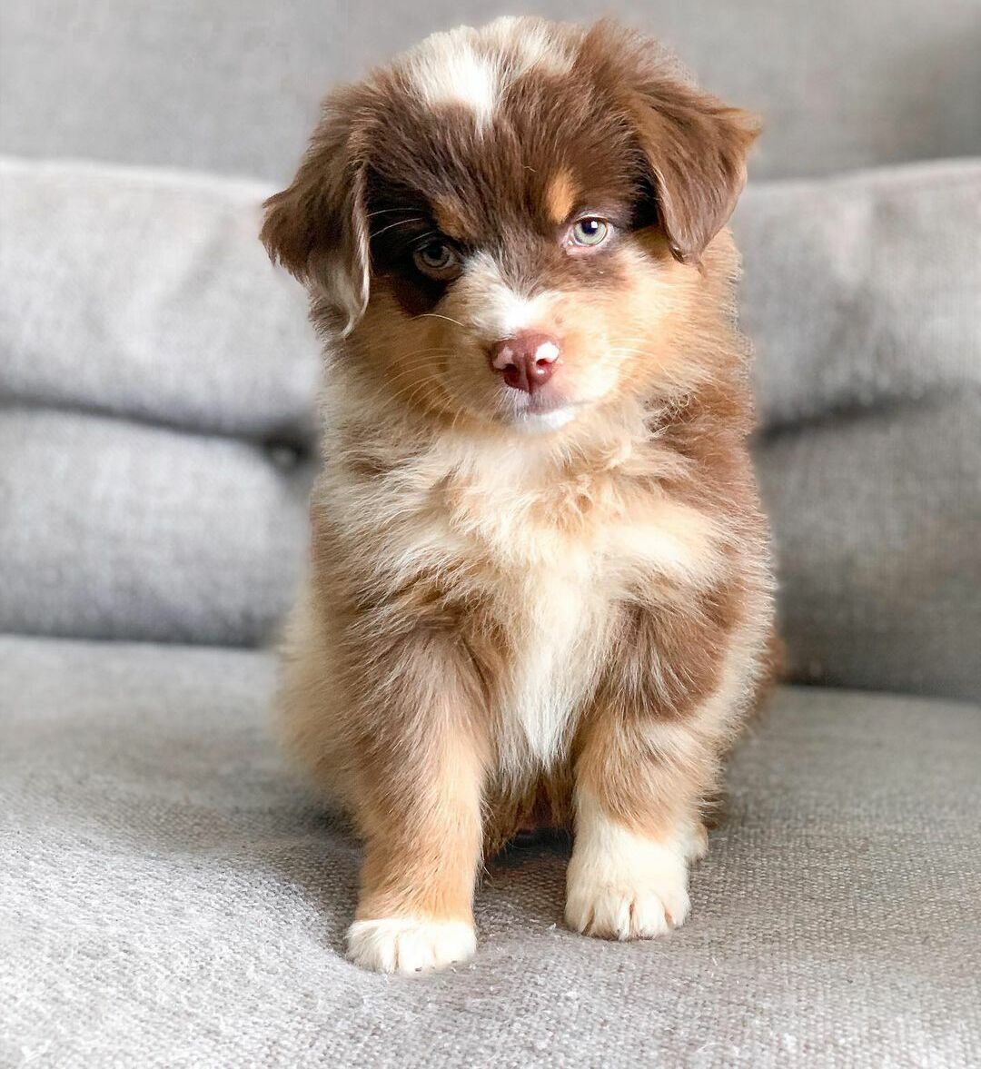 wiggle