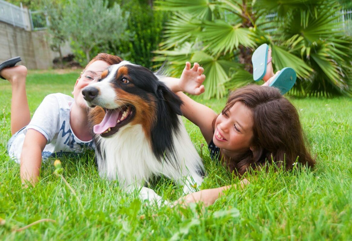 Happy family with their new Australian Shepherd puppy